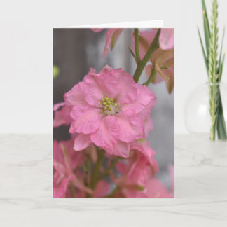 Errötende Ehrfurcht – Makro-Blüte Rosa Karte