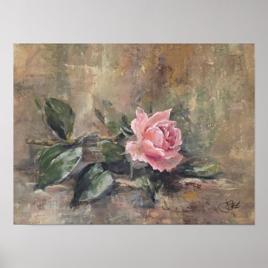 Errötende Gnadenrose Poster (Vorne)