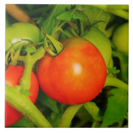 Errötende Schönheits-Küche Fliese/Trivet Fliese