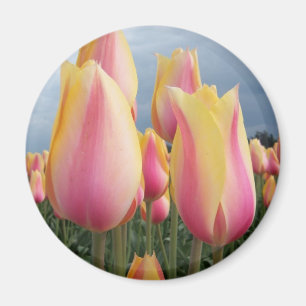 Errötende Schönheits-Tulpen Magnet