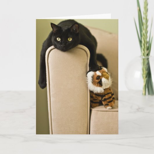 Ersatz Katzen Notecard Karte (Vorderseite)