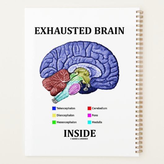 Erschöpfter Gehirn im anatomischen Gehirn Spaß Planer (Rückseite)