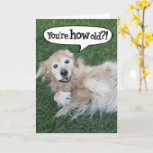 Erschossen Golden Retriever Birthday Card Karte (Gelbe Blume)