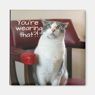 Erschrockene Katze Magnet