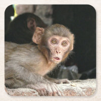 Erschrockener Affe mit großem Augen-Untersetzer