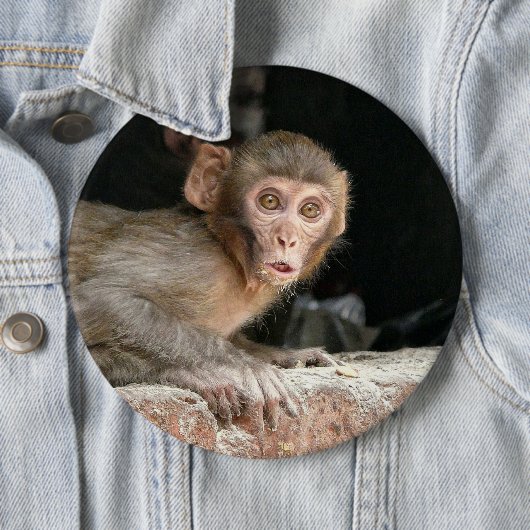 Erschrockener Affe mit großem Augenknopf Button (Beispiel)