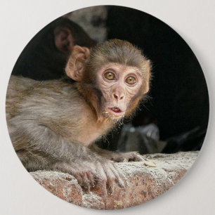 Erschrockener Affe mit großem Augenknopf Button
