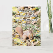 Erschrockenes Eichhörnchen Geburtstag Karte (Vorderseite)