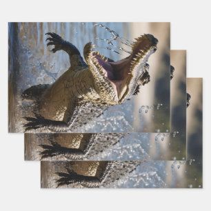 Erschrockenes Maul: Australisches Krokodil springt Geschenkpapier Set