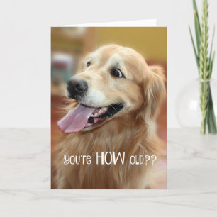 Erschüttert Golden Retriever du bist wie alt Gebur Karte