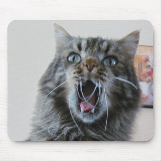 Erschütterte Katze ist schockiert Mousepad (Vorne)