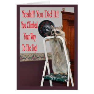 ersetzen Sie Leiter 2