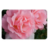 Ersetzen von Rose Foto Vertikal Personalisiert mac Magnet (Horizontal)