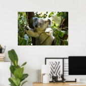 Erstaunlich niedlicher Koala in einem Baum Poster (Heimbüro)