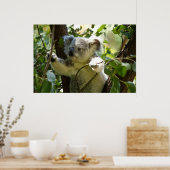 Erstaunlich niedlicher Koala in einem Baum Poster (Küche)