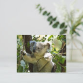 Erstaunlich niedlicher Koala in einem Baum Postkarte (Stehend Vorderseite)