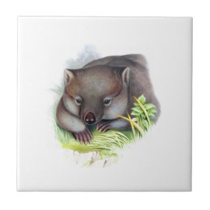 Erstaunlich süßes australisches Tier Wombat Vintag Fliese