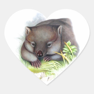 Erstaunlich süßes australisches Tier Wombat vintag Herz-Aufkleber