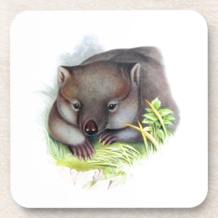 Erstaunlich süßes australisches Tier Wombat vintag Untersetzer