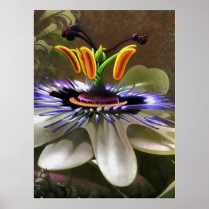 Erstaunliche Abstrakte Kunst einer Passion-Blume Poster