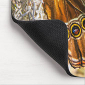 Erstaunliche Blaue Morpho-Schmetterling-Wildlife-F Mousepad (Ecke)