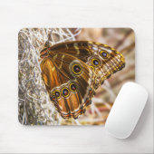 Erstaunliche Blaue Morpho-Schmetterling-Wildlife-F Mousepad (Mit Mouse)