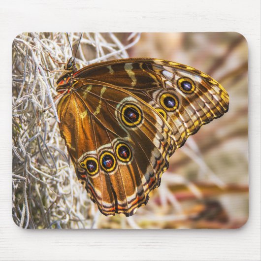 Erstaunliche Blaue Morpho-Schmetterling-Wildlife-F Mousepad (Vorne)