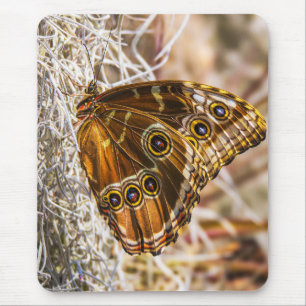 Erstaunliche Blaue Morpho-Schmetterling-Wildlife-F Mousepad
