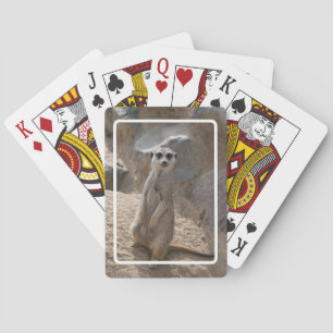 Erstaunliche Erdmännchen Spielkarten