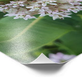 Erstaunliche Farben Fotodruck (Ecke)