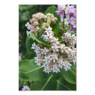 Erstaunliche Farben Fotodruck