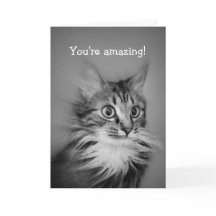 Erstaunliche Katze mit Neck Ruff glücklich Geburts