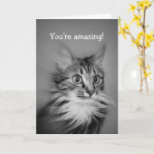 Erstaunliche Katze mit Neck Ruff glücklich Geburts Karte (Gelbe Blume)