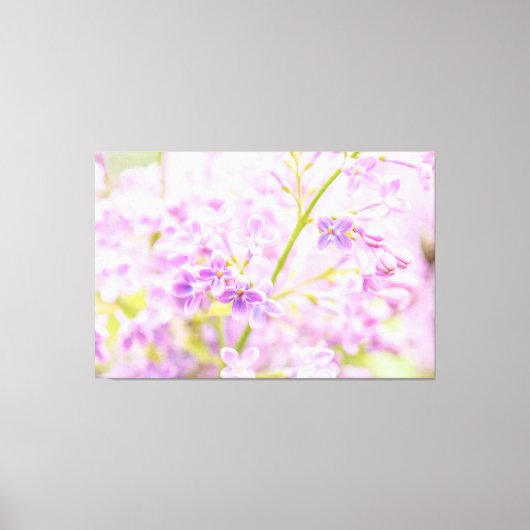 Erstaunliche Lilac-Blume Leinwanddruck (Vorderseite)