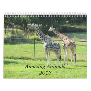 Erstaunliche Tiere 2013 Kalender