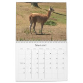 Erstaunliche Tiere Kalender (Mär 2027)