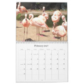 Erstaunliche Tiere Kalender (Feb 2027)