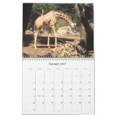Erstaunliche Tiere Kalender (Jan 2027)