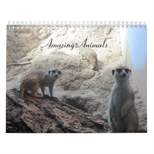 Erstaunliche Tiere Kalender (Titelbild)