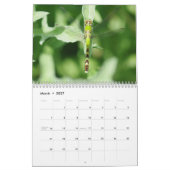 Erstaunlicher Flügel-Kalender Kalender (Mär 2027)