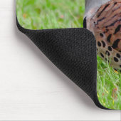 Erstaunlicher Nördlicher Buntspecht bei der Nahrun Mousepad (Ecke)