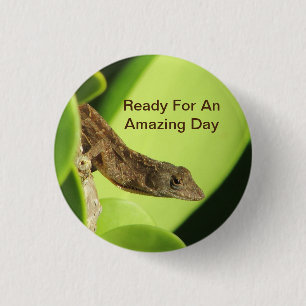 Erstaunlicher Tag Tropischer Brauner Gecko Positiv Button