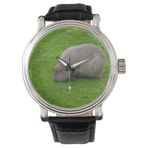 Erstaunliches Tier Capybara Armbanduhr