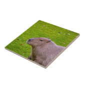 Erstaunliches Tier Capybara Fliese (Seite)