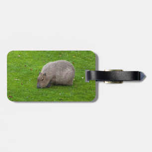 Erstaunliches Tier Capybara Gepäckanhänger