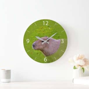 Erstaunliches Tier Capybara Große Wanduhr