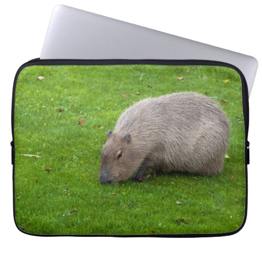 Erstaunliches Tier Capybara Laptopschutzhülle (Vorderseite)