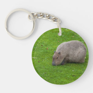 Erstaunliches Tier Capybara Schlüsselanhänger