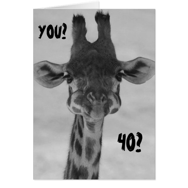 ERSTAUNT GIRAFFE SAGT "SIE" "40?" (Vorne)