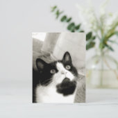 erstaunt postkarte (Stehend Vorderseite)